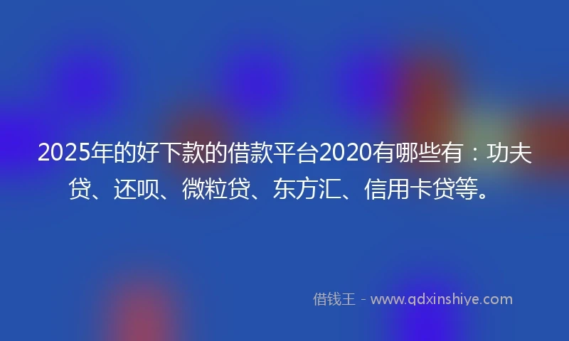 2025年的好下款的借款平台2020有哪些有：功夫贷、还呗、微粒贷、东方汇、信用卡贷等。