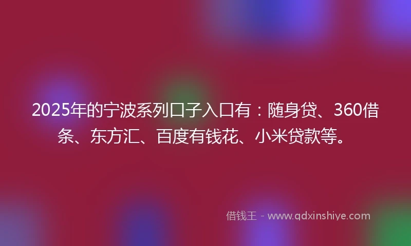 2025年的宁波系列口子入口有：随身贷、360借条、东方汇、百度有钱花、小米贷款等。