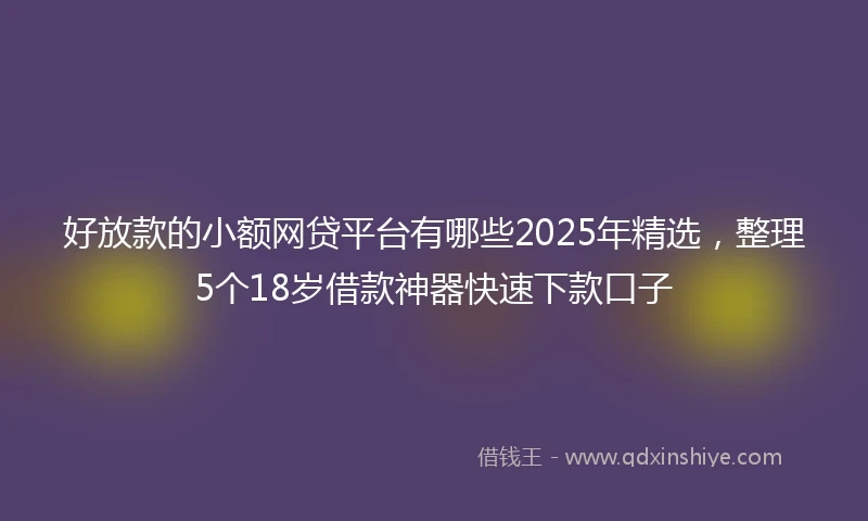 好放款的小额网贷平台有哪些2025年精选，整理5个18岁借款神器快速下款口子