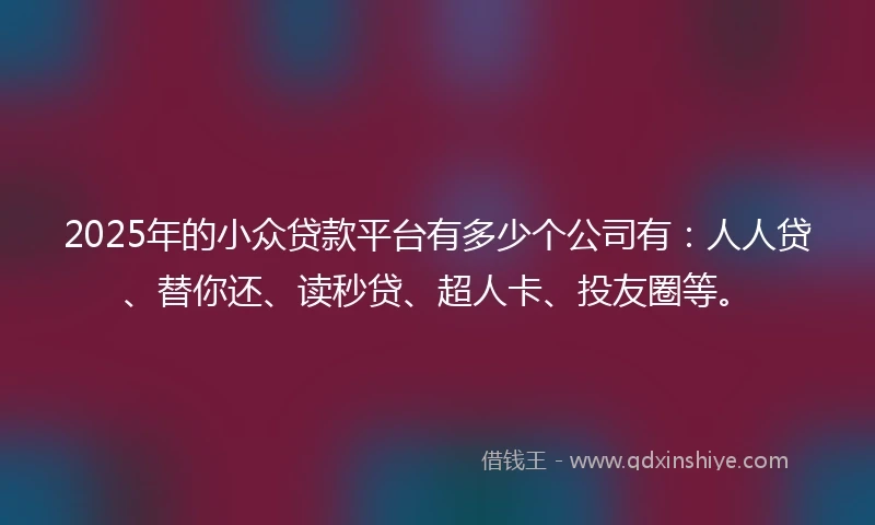 2025年的小众贷款平台有多少个公司有：人人贷、替你还、读秒贷、超人卡、投友圈等。