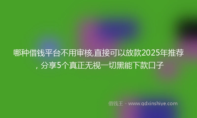 哪种借钱平台不用审核,直接可以放款2025年推荐，分享5个真正无视一切黑能下款口子