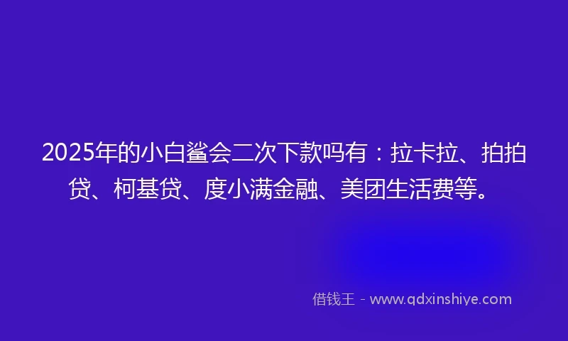 2025年的小白鲨会二次下款吗有：拉卡拉、拍拍贷、柯基贷、度小满金融、美团生活费等。