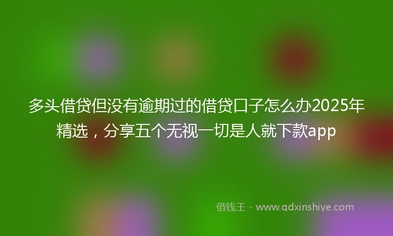 多头借贷但没有逾期过的借贷口子怎么办2025年精选，分享五个无视一切是人就下款app