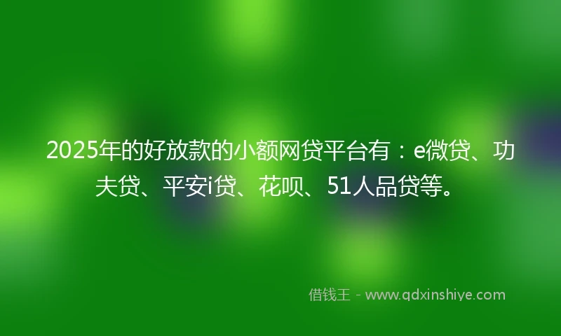 2025年的好放款的小额网贷平台有：e微贷、功夫贷、平安i贷、花呗、51人品贷等。