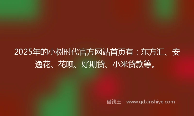 2025年的小树时代官方网站首页有：东方汇、安逸花、花呗、好期贷、小米贷款等。