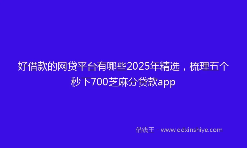 好借款的网贷平台有哪些2025年精选，梳理五个秒下700芝麻分贷款app