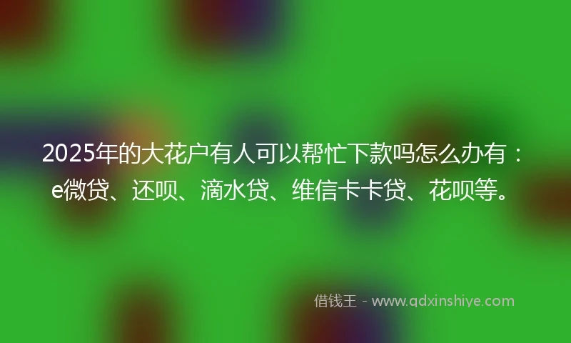 2025年的大花户有人可以帮忙下款吗怎么办有：e微贷、还呗、滴水贷、维信卡卡贷、花呗等。