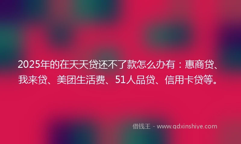 2025年的在天天贷还不了款怎么办有：惠商贷、我来贷、美团生活费、51人品贷、信用卡贷等。