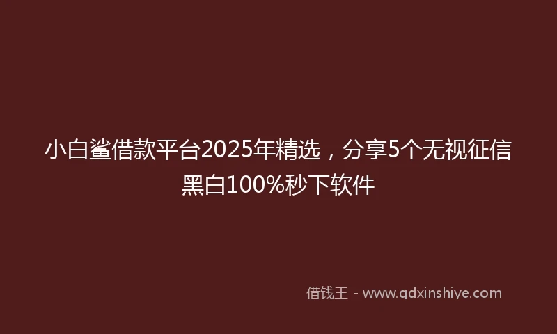 小白鲨借款平台2025年精选，分享5个无视征信黑白100%秒下软件