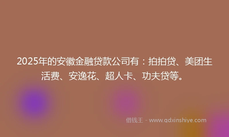 2025年的安徽金融贷款公司有：拍拍贷、美团生活费、安逸花、超人卡、功夫贷等。
