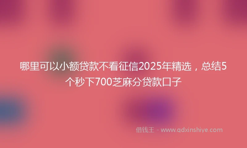 哪里可以小额贷款不看征信2025年精选，总结5个秒下700芝麻分贷款口子