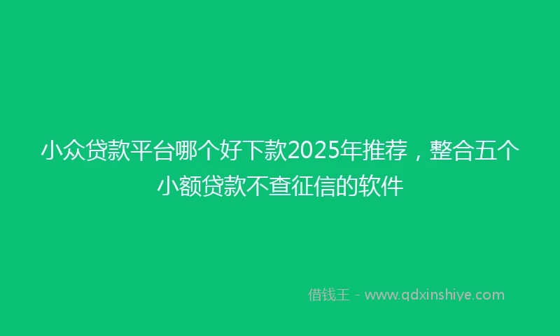 小众贷款平台哪个好下款2025年推荐，整合五个小额贷款不查征信的软件