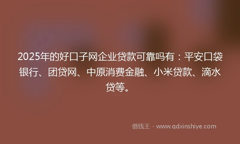 2025年的好口子网企业贷款可靠吗有：平安口袋银行、团贷网、中原消费金融、小米贷款、滴水贷等。