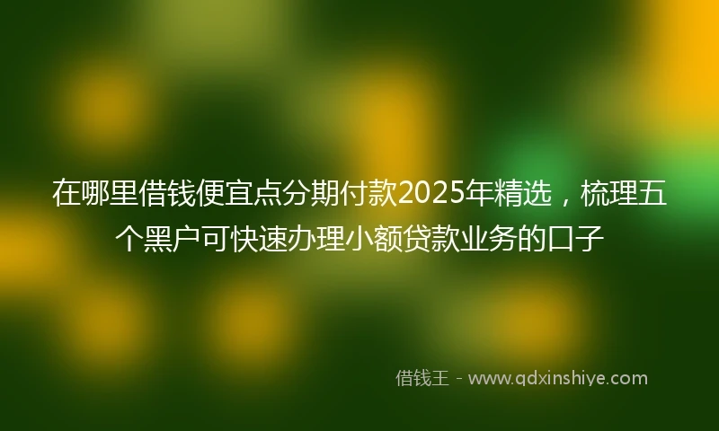 在哪里借钱便宜点分期付款2025年精选，梳理五个黑户可快速办理小额贷款业务的口子