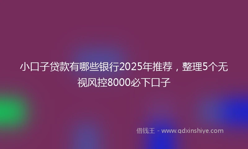小口子贷款有哪些银行2025年推荐，整理5个无视风控8000必下口子