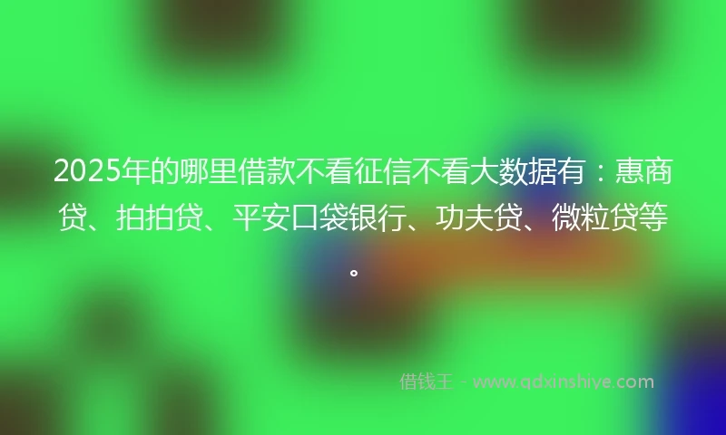 2025年的哪里借款不看征信不看大数据有：惠商贷、拍拍贷、平安口袋银行、功夫贷、微粒贷等。