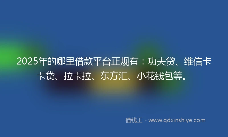 2025年的哪里借款平台正规有：功夫贷、维信卡卡贷、拉卡拉、东方汇、小花钱包等。