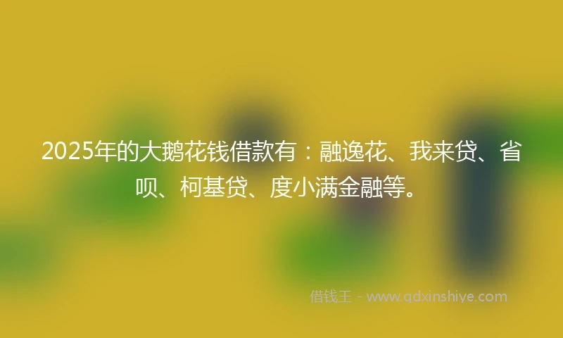 2025年的大鹅花钱借款有：融逸花、我来贷、省呗、柯基贷、度小满金融等。