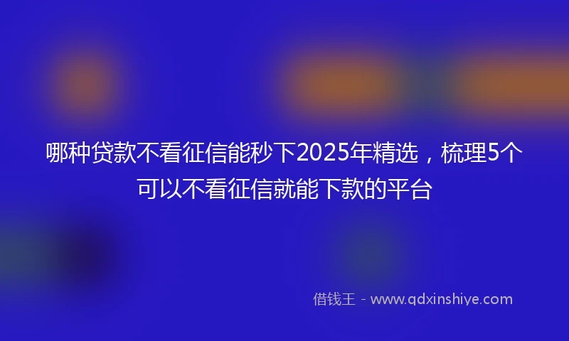 哪种贷款不看征信能秒下2025年精选，梳理5个可以不看征信就能下款的平台