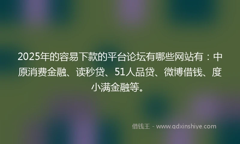 2025年的容易下款的平台论坛有哪些网站有：中原消费金融、读秒贷、51人品贷、微博借钱、度小满金融等。