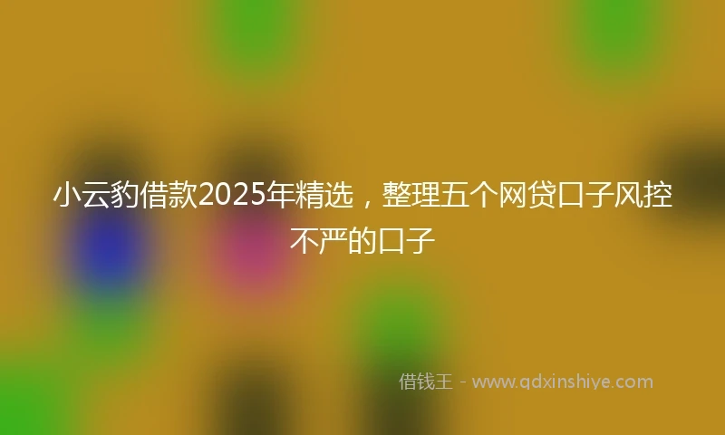 小云豹借款2025年精选，整理五个网贷口子风控不严的口子