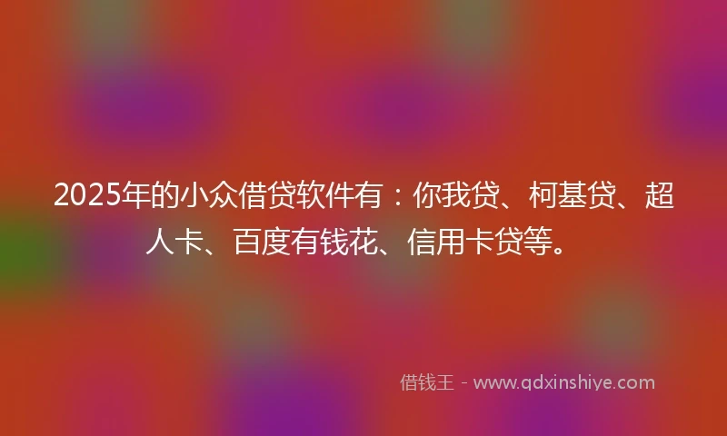 2025年的小众借贷软件有：你我贷、柯基贷、超人卡、百度有钱花、信用卡贷等。
