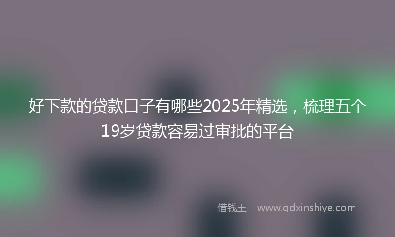 好下款的贷款口子有哪些2025年精选，梳理五个19岁贷款容易过审批的平台
