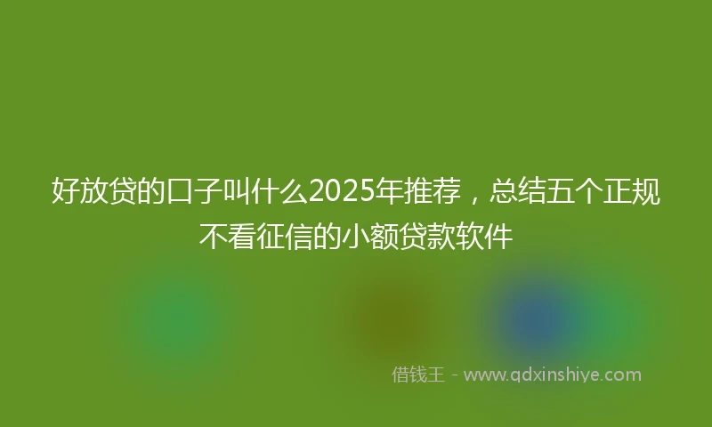 好放贷的口子叫什么2025年推荐，总结五个正规不看征信的小额贷款软件