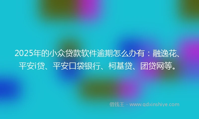 2025年的小众贷款软件逾期怎么办有：融逸花、平安i贷、平安口袋银行、柯基贷、团贷网等。