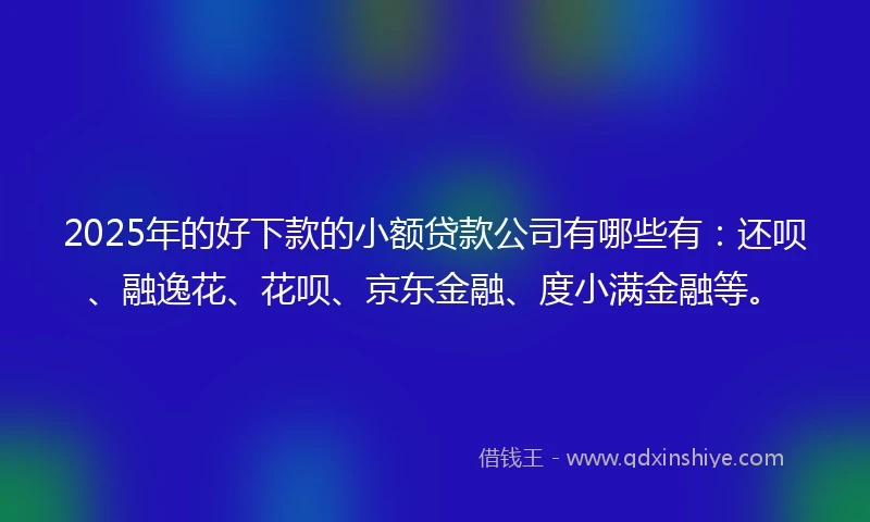 2025年的好下款的小额贷款公司有哪些有：还呗、融逸花、花呗、京东金融、度小满金融等。