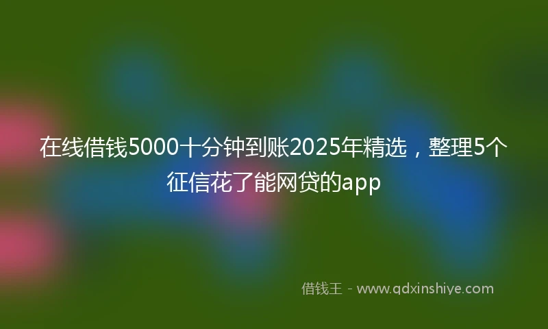 在线借钱5000十分钟到账2025年精选，整理5个征信花了能网贷的app