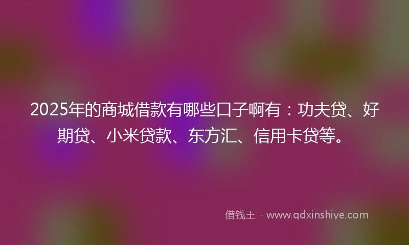 2025年的商城借款有哪些口子啊有：功夫贷、好期贷、小米贷款、东方汇、信用卡贷等。