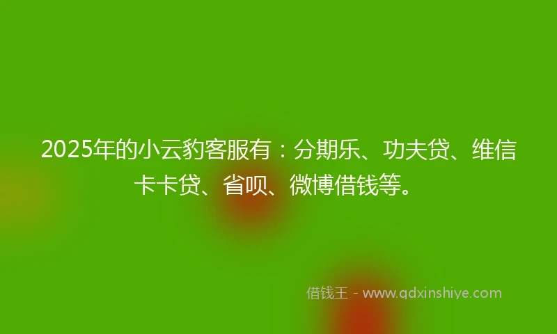 2025年的小云豹客服有：分期乐、功夫贷、维信卡卡贷、省呗、微博借钱等。