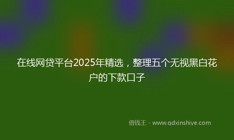 在线网贷平台2025年精选，整理五个无视黑白花户的下款口子