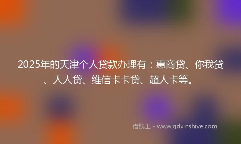 2025年的天津个人贷款办理有：惠商贷、你我贷、人人贷、维信卡卡贷、超人卡等。