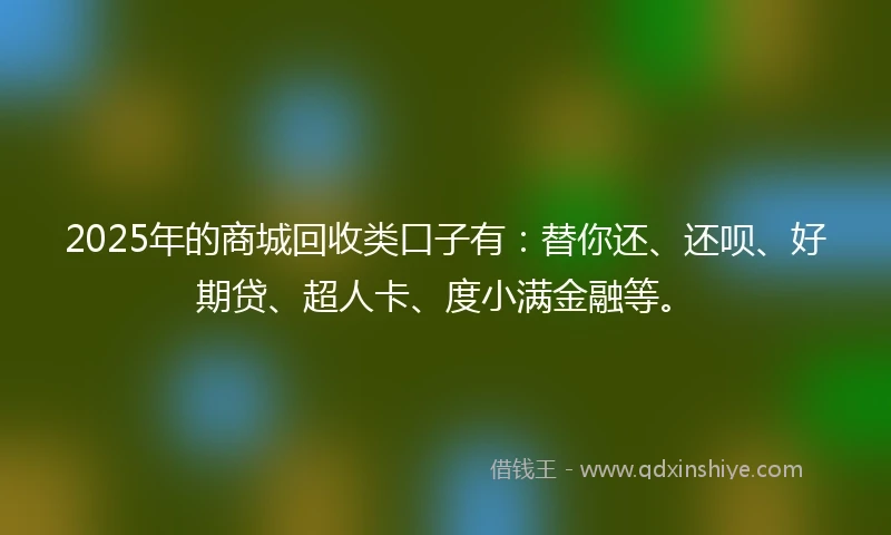 2025年的商城回收类口子有：替你还、还呗、好期贷、超人卡、度小满金融等。