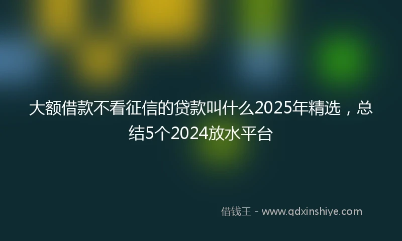 大额借款不看征信的贷款叫什么2025年精选，总结5个2024放水平台