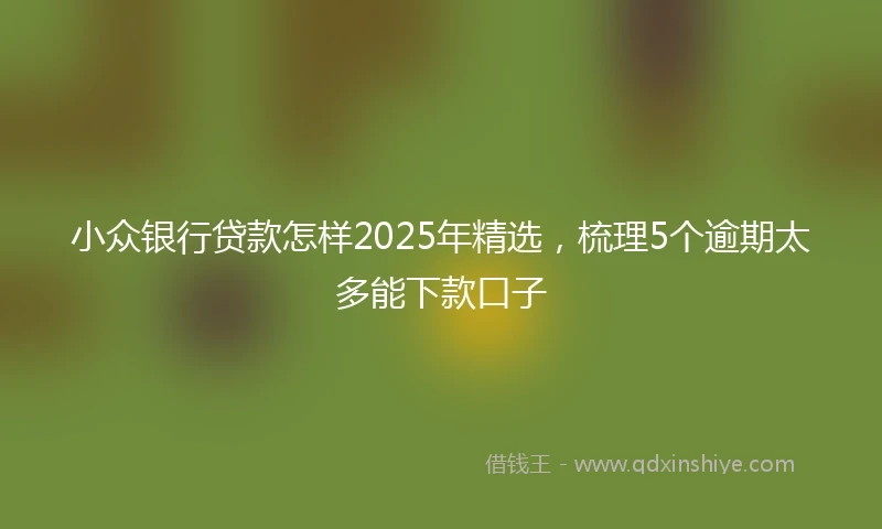 小众银行贷款怎样2025年精选，梳理5个逾期太多能下款口子