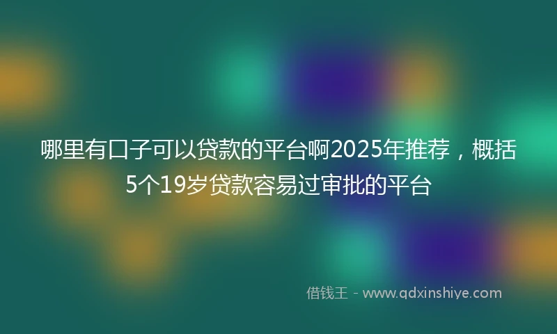 哪里有口子可以贷款的平台啊2025年推荐，概括5个19岁贷款容易过审批的平台
