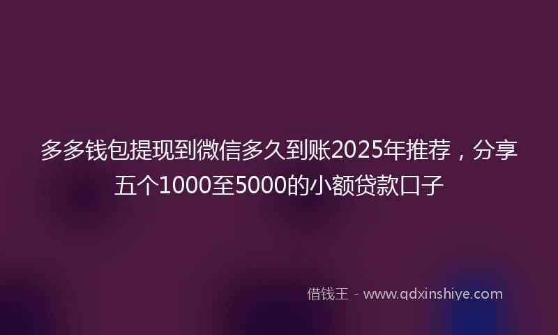 多多钱包提现到微信多久到账2025年推荐，分享五个1000至5000的小额贷款口子