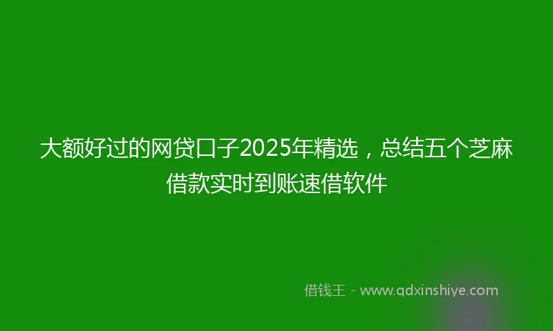 大额好过的网贷口子2025年精选，总结五个芝麻借款实时到账速借软件