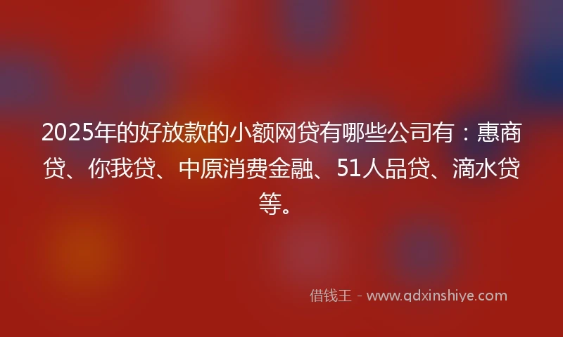 2025年的好放款的小额网贷有哪些公司有：惠商贷、你我贷、中原消费金融、51人品贷、滴水贷等。