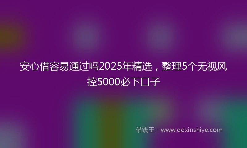 安心借容易通过吗2025年精选，整理5个无视风控5000必下口子