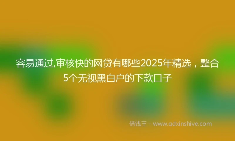 容易通过,审核快的网贷有哪些2025年精选，整合5个无视黑白户的下款口子