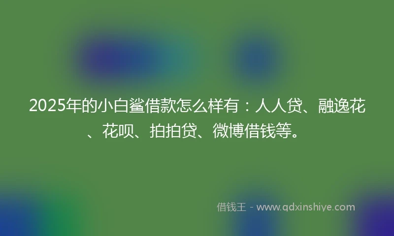 2025年的小白鲨借款怎么样有：人人贷、融逸花、花呗、拍拍贷、微博借钱等。