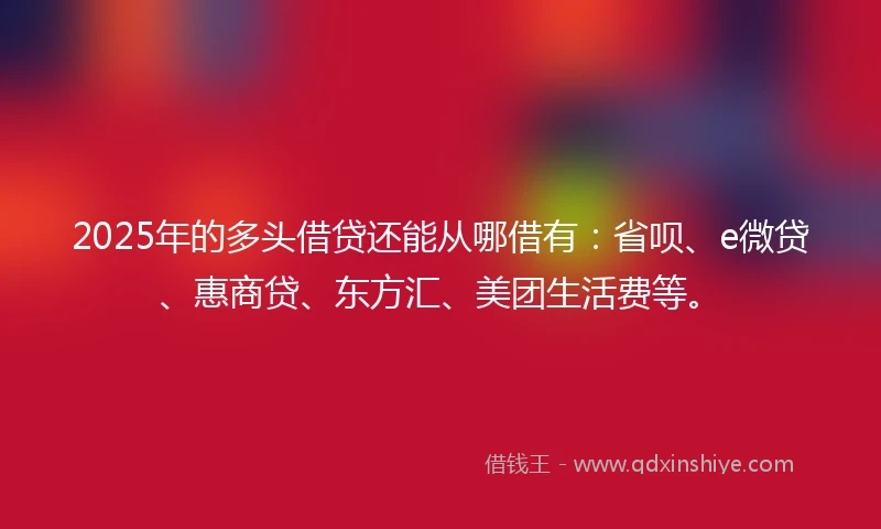2025年的多头借贷还能从哪借有：省呗、e微贷、惠商贷、东方汇、美团生活费等。
