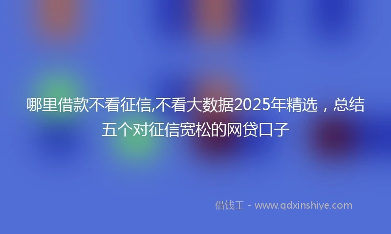 哪里借款不看征信,不看大数据2025年精选，总结五个对征信宽松的网贷口子