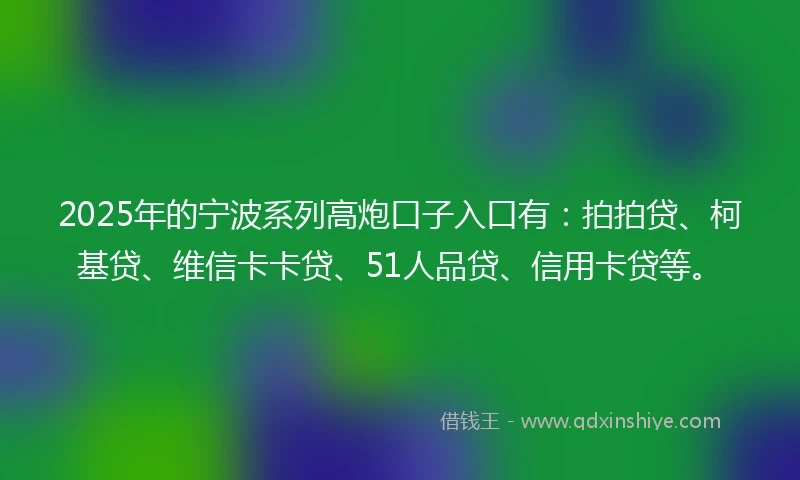 2025年的宁波系列高炮口子入口有：拍拍贷、柯基贷、维信卡卡贷、51人品贷、信用卡贷等。