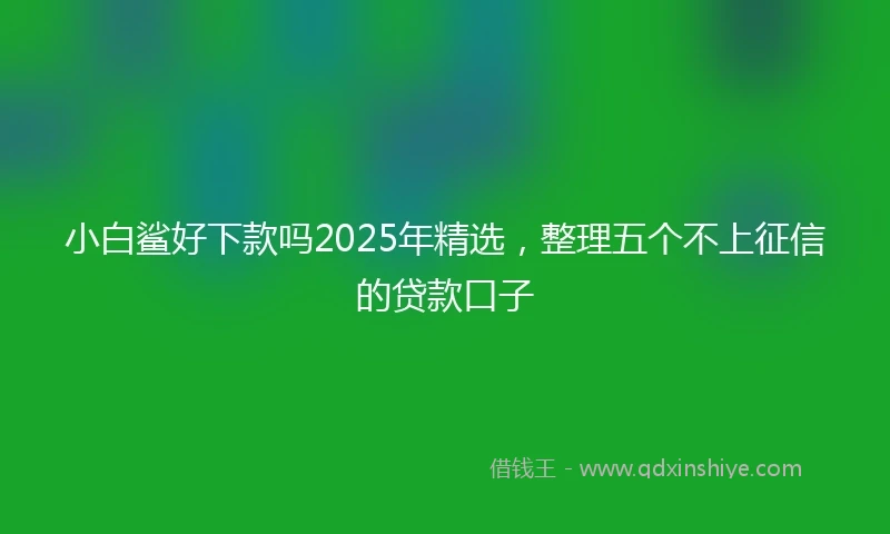 小白鲨好下款吗2025年精选，整理五个不上征信的贷款口子