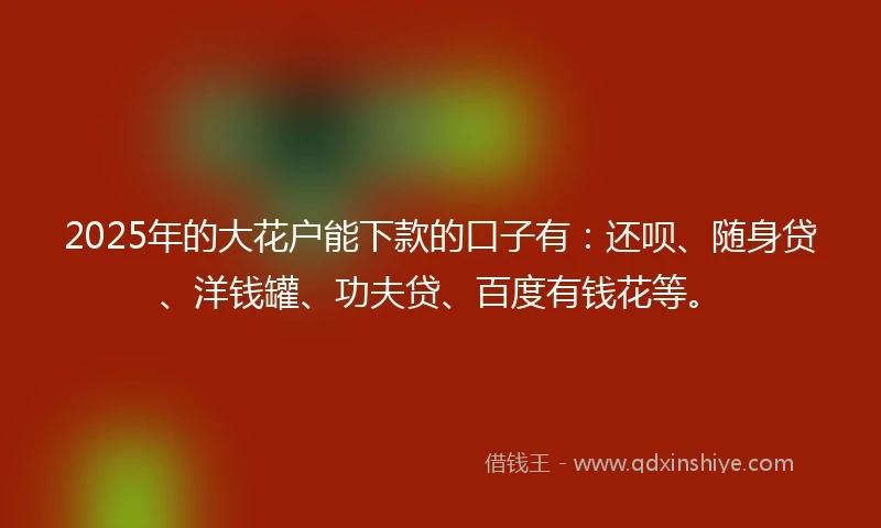 2025年的大花户能下款的口子有：还呗、随身贷、洋钱罐、功夫贷、百度有钱花等。
